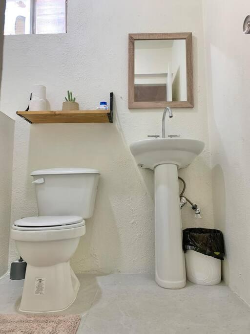 Casa Anuiti Centrica Ubicacion. Apartman San José del Cabo Kültér fotó