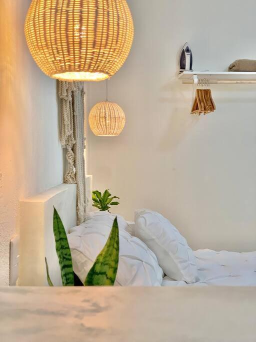Casa Anuiti Centrica Ubicacion. Apartman San José del Cabo Kültér fotó