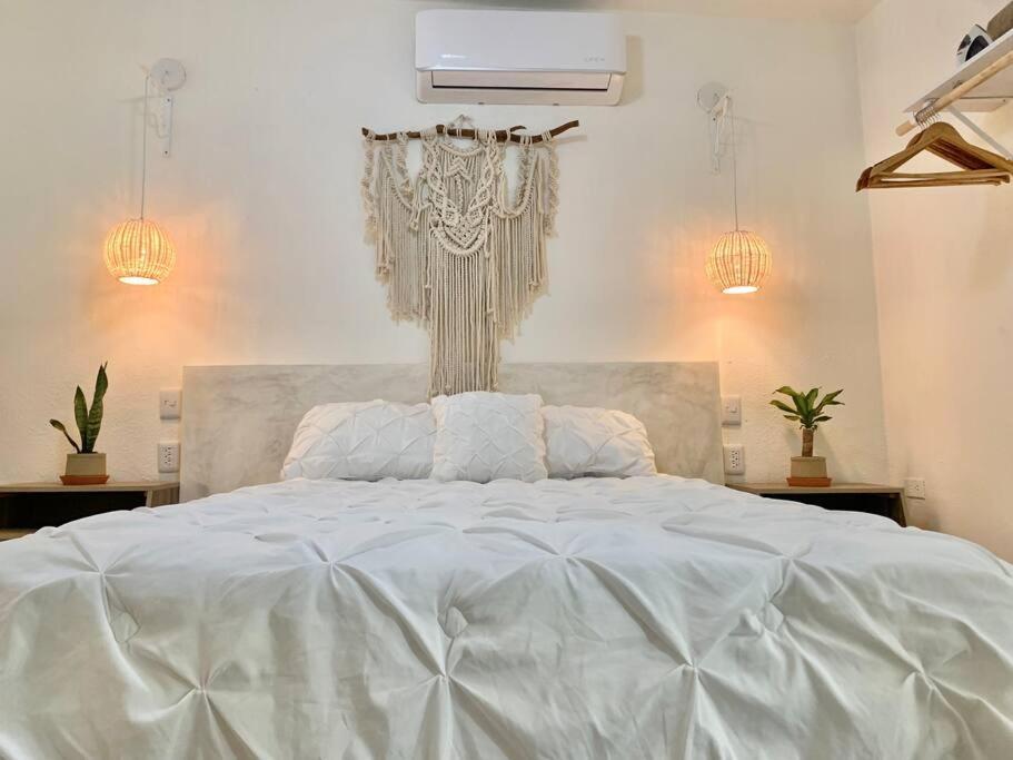 Casa Anuiti Centrica Ubicacion. Apartman San José del Cabo Kültér fotó