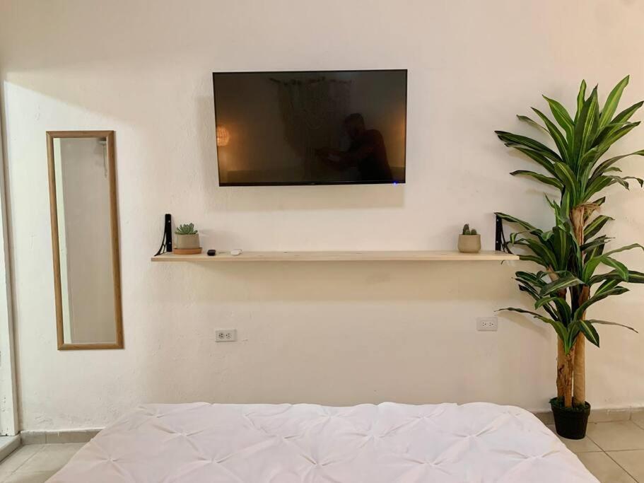 Casa Anuiti Centrica Ubicacion. Apartman San José del Cabo Kültér fotó